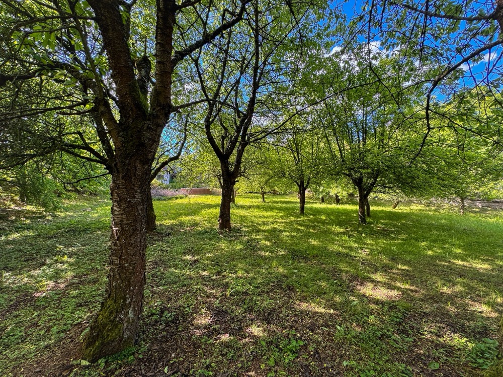 Krásný stavební pozemek 3 378 m² v Turnově - Daliměřicích